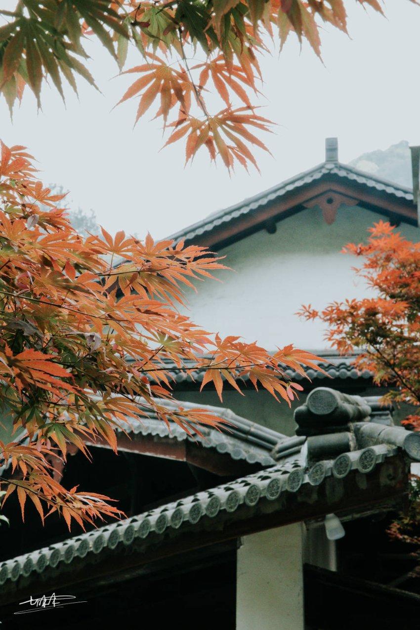 秘密基地找不同